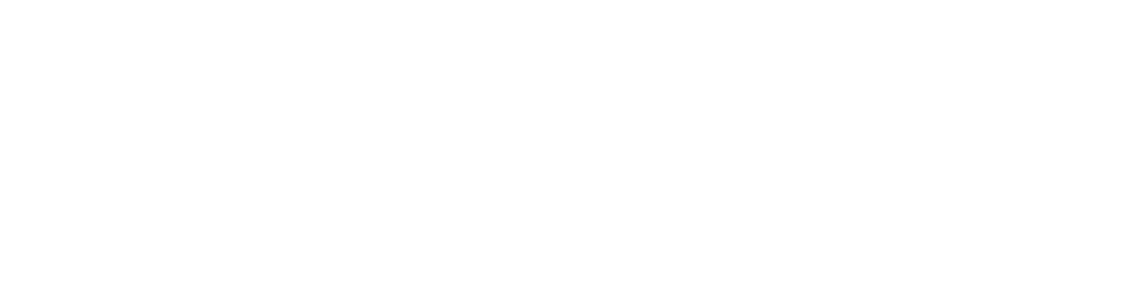 Лига Чемпионов Бизнеса